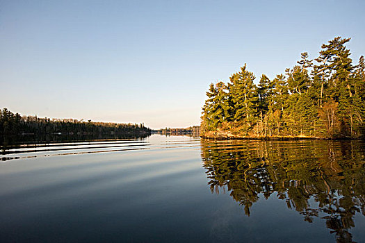 湖,木,安大略省,加拿大