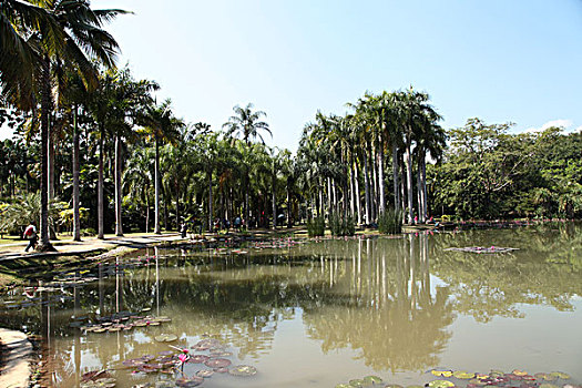 中科院西双版纳热带植物园