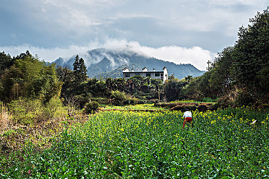 画里乡村婺源