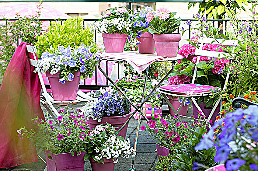 夏天,露台,开花植物,罐,遮阳伞