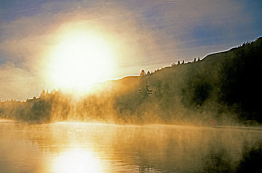 秋天,薄雾,赤鹿,河,省立公园,艾伯塔省,加拿大