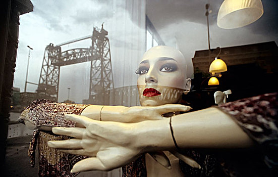历史,举起,桥,反射,店,窗户,人体模型,鹿特丹,荷兰南部,欧洲