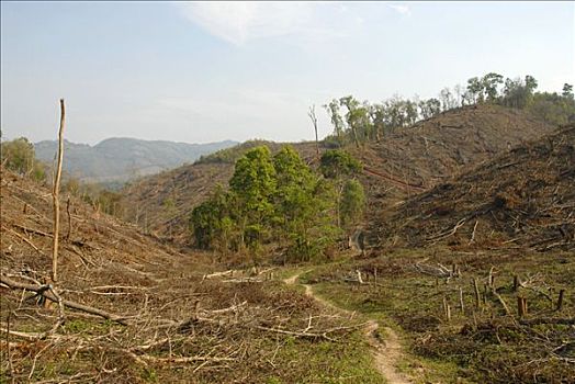 环境破坏,森林采伐,高地,省,老挝,东南亚