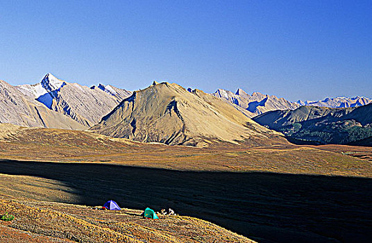 边远地区,露营,加拿大,落矶山,艾伯塔省