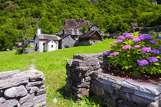风景,小村庄,小教堂,山谷,提契诺河,瑞士,欧洲
