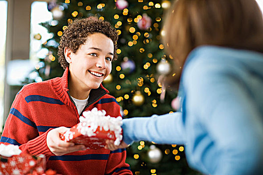 男孩,女孩,圣诞树,交换,礼物