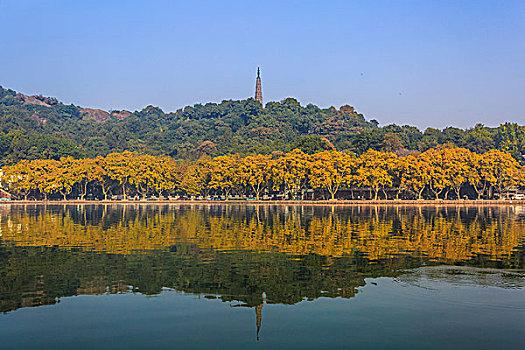 杭州,西湖,美景,风景