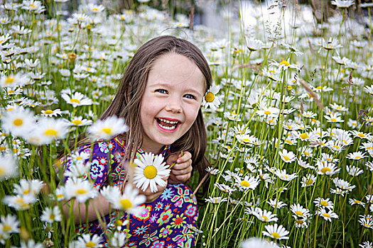 微笑,小女孩,三个,岁月,坐,花,草地,许多,雏菊,罗森海姆,巴伐利亚,德国,欧洲
