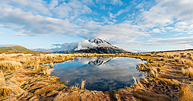 反射,山中小湖,层状火山,塔拉纳基,阴天,艾格蒙特国家公园,新西兰,大洋洲