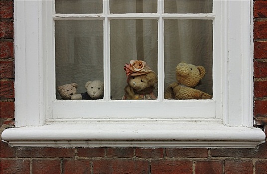 家庭,泰迪熊,窗户