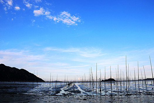 霞浦北岐滩涂