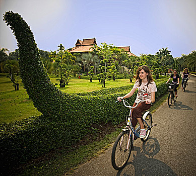泰国,两个女孩,女人,骑,自行车,道路