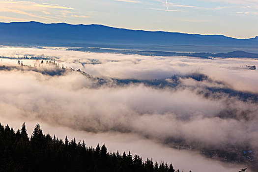 日出,晨雾,威拉梅特谷,俄勒冈,美国