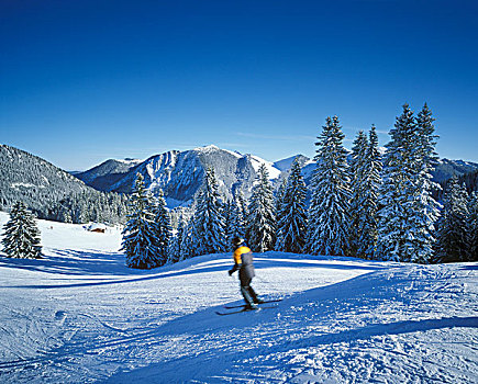 滑雪坡,山,背影,湖,区域,上巴伐利亚,巴伐利亚,德国,欧洲