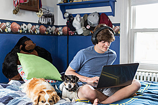 少男,坐,床,使用笔记本,电脑,狗