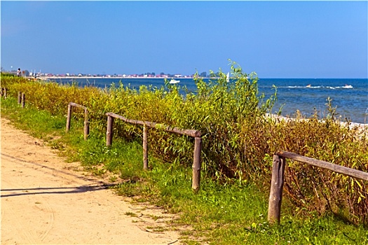 海岸,海洋