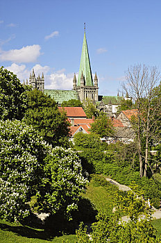 大教堂,特隆赫姆,挪威