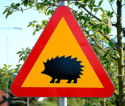 警告标识,刺猬,瑞典,欧洲