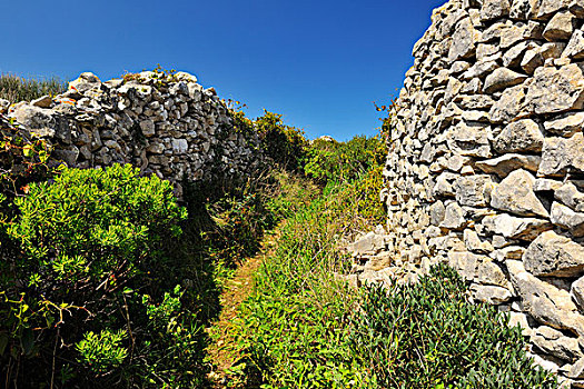 小路,石墙,葡萄牙