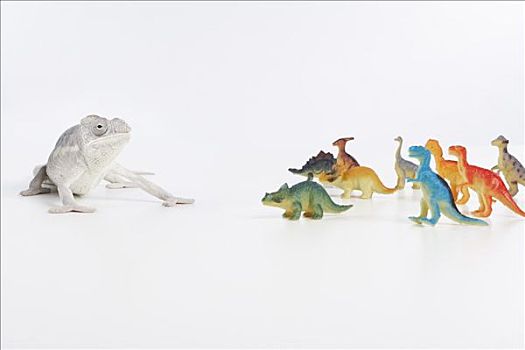蜥蜴,玩具,恐龙
