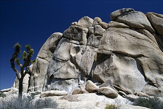 攀登,约书亚树国家公园,加利福尼亚,美国