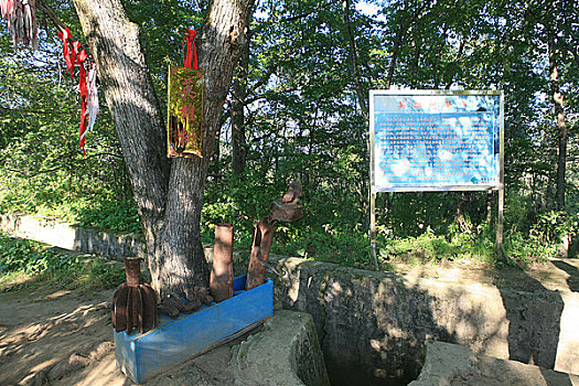 黑龙江省,乌苏里江,珍宝岛这是岛上的英雄树
