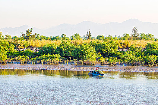 江门银湖湾湿地风光