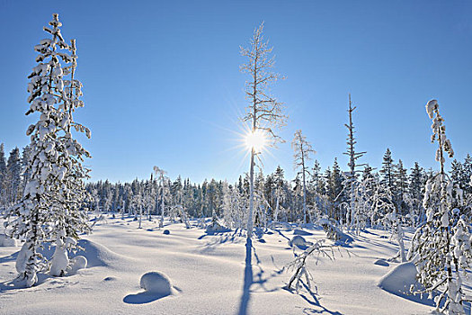 太阳,库萨莫,北方,芬兰