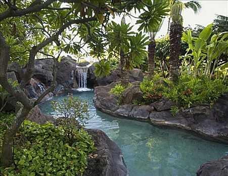 瀑布,水塘,胜地,考艾岛,夏威夷
