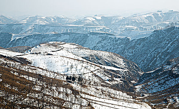 高原雪景