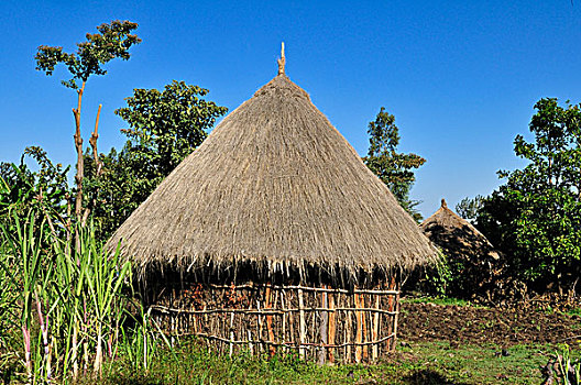传统,非洲,小屋,草屋,农舍,裂谷,埃塞俄比亚