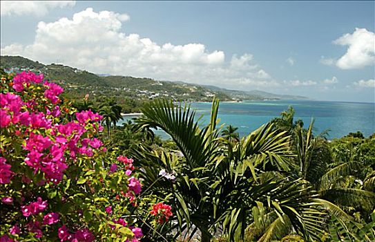 牙买加,海边风景