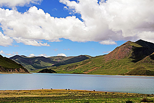 绿地山河流