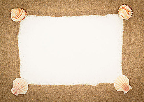 海螺壳,沙子,白色,纸,背景
