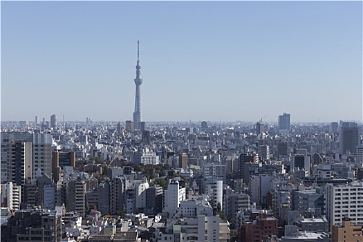 东京,城市,日本