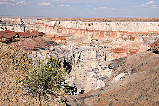 煤矿,峡谷,亚利桑那,美国