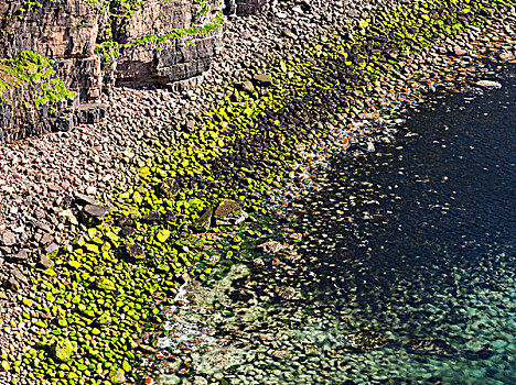 悬崖,岛屿,靠近,老人,奥克尼群岛,苏格兰,大幅,尺寸