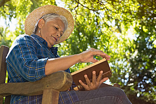 老年,女人,读,书本,花园