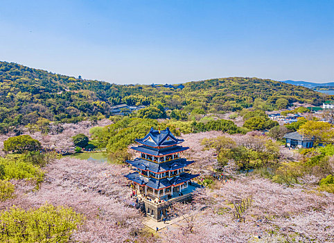 航拍江苏省无锡太湖鼋头渚赏樱楼,蠡湖渤公岛