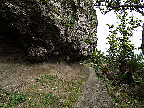 风景,岛屿,冲绳,日本