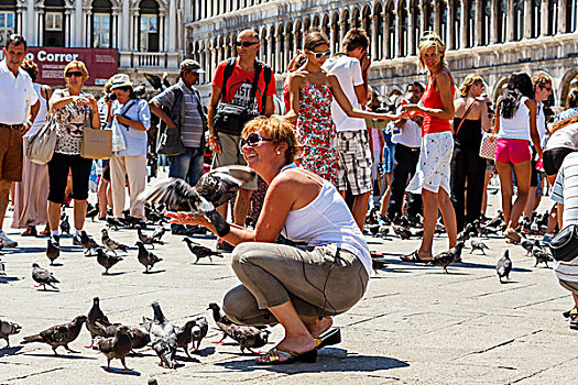 人,鸽子,圣马科,广场,威尼斯,意大利