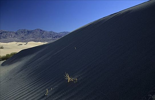沙丘,死亡谷国家公园,美国