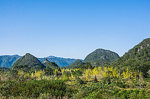 桂林田园风光