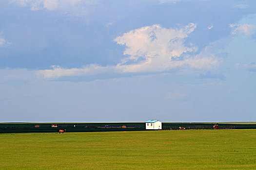 草原,牧场,建筑