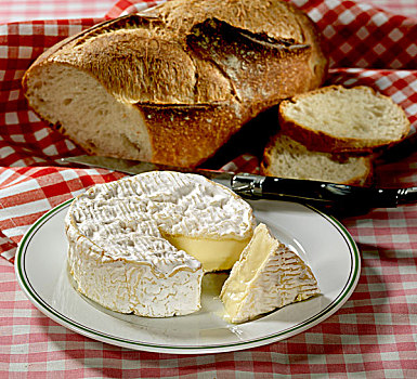 卡门贝软质乳酪,面包