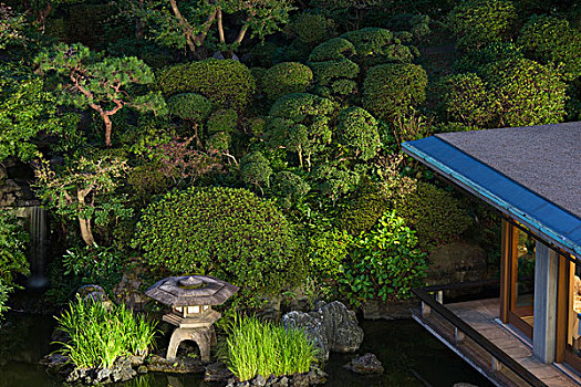 石灯笼,光亮,黄昏,传统,日式庭园,国际,房子,地区,东京,日本