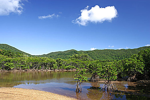 石垣岛,城市,冲绳