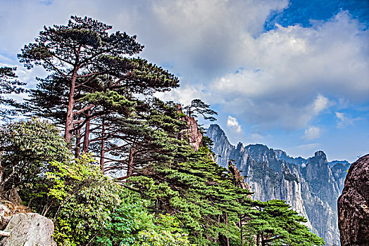 安徽省黄山市黄山风景区西海大峡谷自然景观