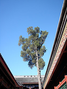 中国北京恭王府古建筑风光