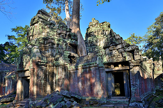 柬埔寨吴哥古城塔普伦寺寺庙和树